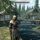 Illustration for article titled See The Differences Between emSkyrim/ems Four PC Graphics Settings